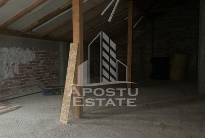 Casa unifamiliala în Timișoara,cu spațiul comercial - 10