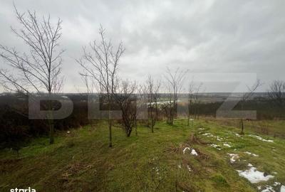 Spațiu comercial, în Robănești - 7