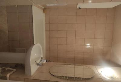 Apartament cu 2 camere decomandat în Bejan - 9