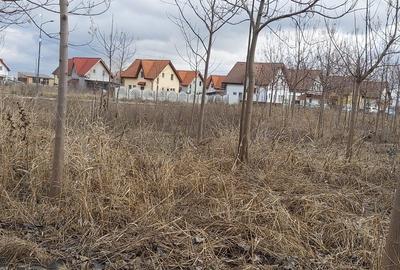 Loturi de teren pentru constructii de case in Paradise Valey - 7