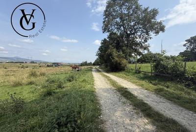 Teren intravilan 500 mp - Tohanul Nou - 3