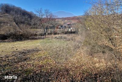 Teren de 4985 mp, în Sascut - 18