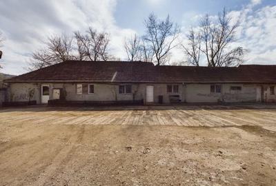 Fabrica prelucrare lemn de vanzare – Lipova, Arad - 8