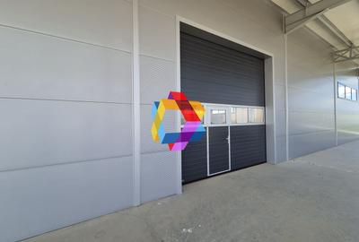 Hala - 1400 mp  # plus-imo.ro - 17