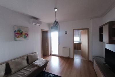 Apartament cu 2 camere decomandat, mobilat în Micălaca - 4