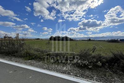 Teren industrial de vânzare în Cristian – 6.000 mp, deschidere la drum asfaltat - 2