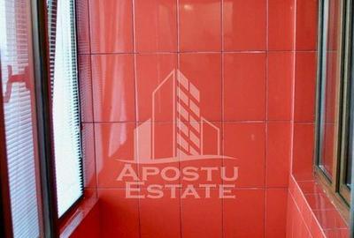 Apartament o camera, etaj intermediar si lift, Take Ionescu - 4