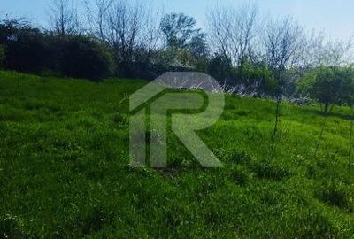 Spațiu comercial, în Săftica - 5