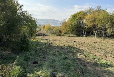 Teren de 1500 mp, în Băiculești - 2