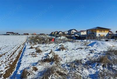 Teren intravilan Dragomiresti Vale - 3