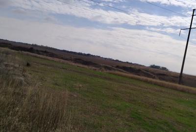 Teren Construcții intravilan de 800 mp, în Malu Mare - 5