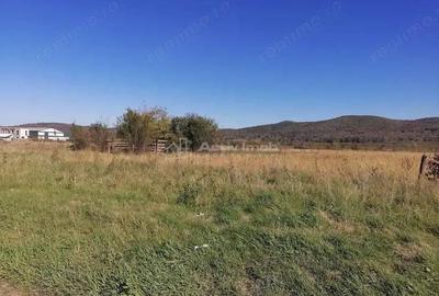 Teren intravilan 3000 mp constructii industriale - 1