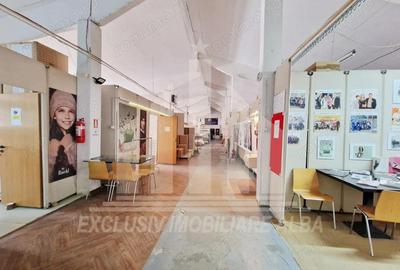 Spatiu industrial de inchiriat in Sebes - 1