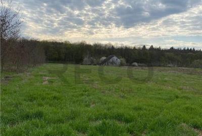 RECO Casa cu teren in Alparea 13km de Oradea - 5