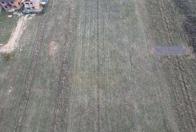 Teren 825mp  cu autorizatie de duplex sau casa individuala | Giroc - 3