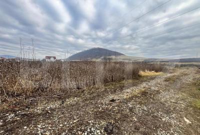 Teren intravilan, 10 ari, ideal pentru casa/hala, zona Sarat - 2