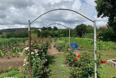 Spațiu comercial, în Sântana de Mureș - 6