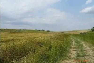 Teren extravilan Oltina, cota parte 1/2, ID: R2610910