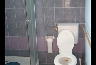 Casă cu 2 camere în Dosu Bricii - 3