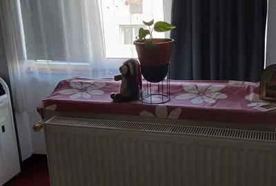 Garsonieră decomandată, mobilată în Debarcader - 1