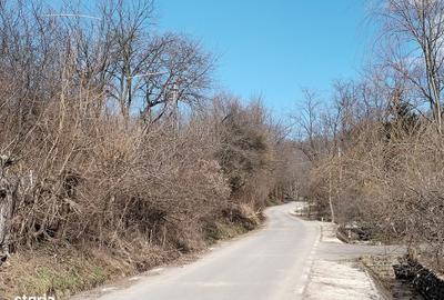 Teren de 5100 mp, în Răzvad - 1