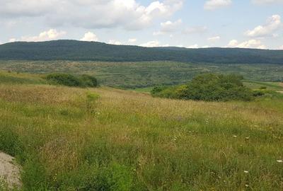 Teren de 3750 mp, în Rădaia - 1