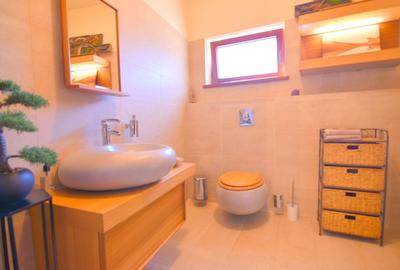 Vila cu piscina si teren generos-Braytim Timisoara - 25