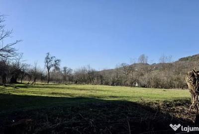 Teren de 4549 mp, în Gura Vitioarei - 9