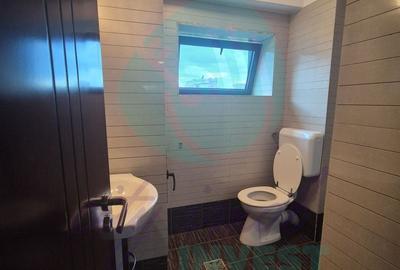 Birou, de 110 mp, în P-ța Alba Iulia - 9