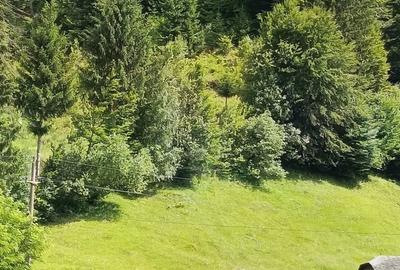 Teren de 3950 mp, în Podu Dâmboviței - 1