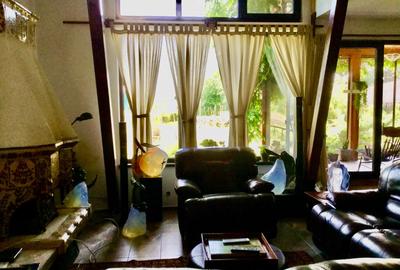Vila de poveste 5 camere zona Bolintin Vale, judetul Giurgiu - 6