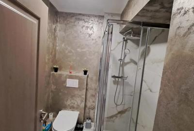 De inchiriat ap 2 camere, Nufarul - 4