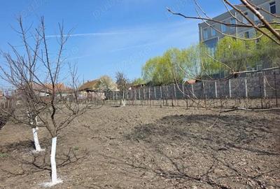 Casă cu 4 camere cu Teren 2158 Mp în Săcălaz - 3