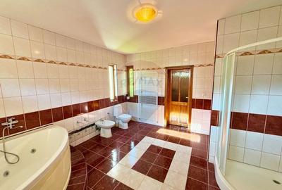 Casa de vanzare in Savarsin - 12