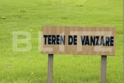 Teren de 3256 mp, în Bosanci - 2