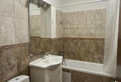 Apartament cu 2 camere semidecomandat în Ozana - 9