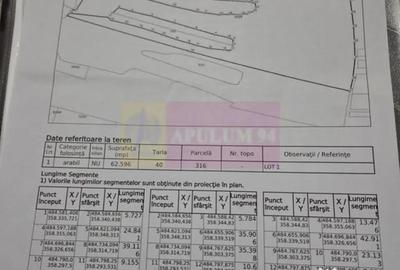 Teren în Albota - 5