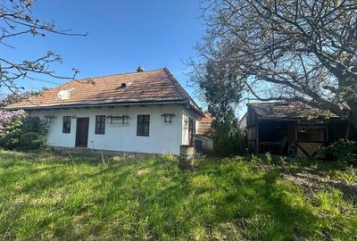 Casa Individuala Ozun Covasna teren 3200 mp - 5