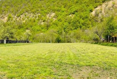 Teren de 2527 mp, în Schitu Topolniței - 1