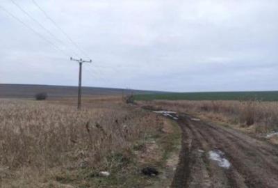 Teren extravilan cota parte 1/3, Rediu, ID: R2642185 - 5