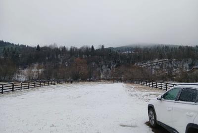 Casă cu 4 camere în Vama - 3