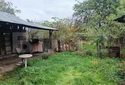 Casă cu 8 camere cu Teren 2000 Mp în Măgurele - 17