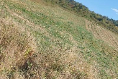 Vand teren intravilan in Panic - 2