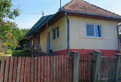 Casa + bucatarie de vara+gradina - 3