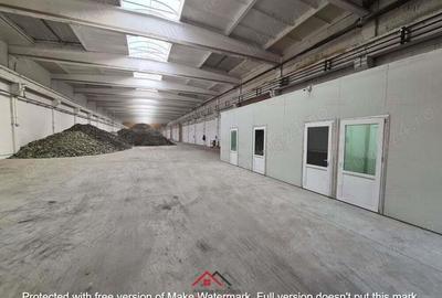 Hale noi in Baicoi, Ph--13.000mp--3e - 13