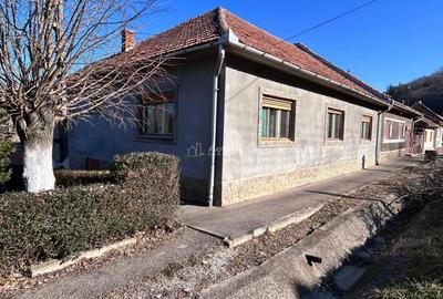 Casă cu 10 camere cu Teren 250 Mp în Bocșa - 2