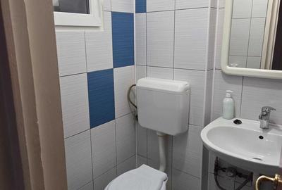 Apartament cu 3 camere decomandat, mobilat în Gorjului - 7