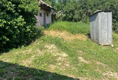 Casă individuală cu 3 camere cu Teren 5700 Mp în Pădureni (Grajduri) - 16