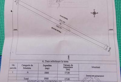 Teren de 7900 mp, în Dragomirești-Deal - 4