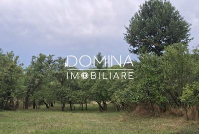 Casă individuală cu 2 camere cu Teren 6770 Mp în Bengești-Ciocadia - 6